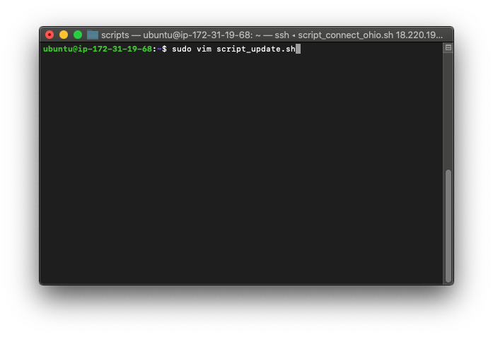 Creating a script via terminal