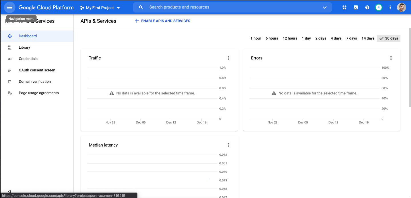 Google Developer Console Dashboard