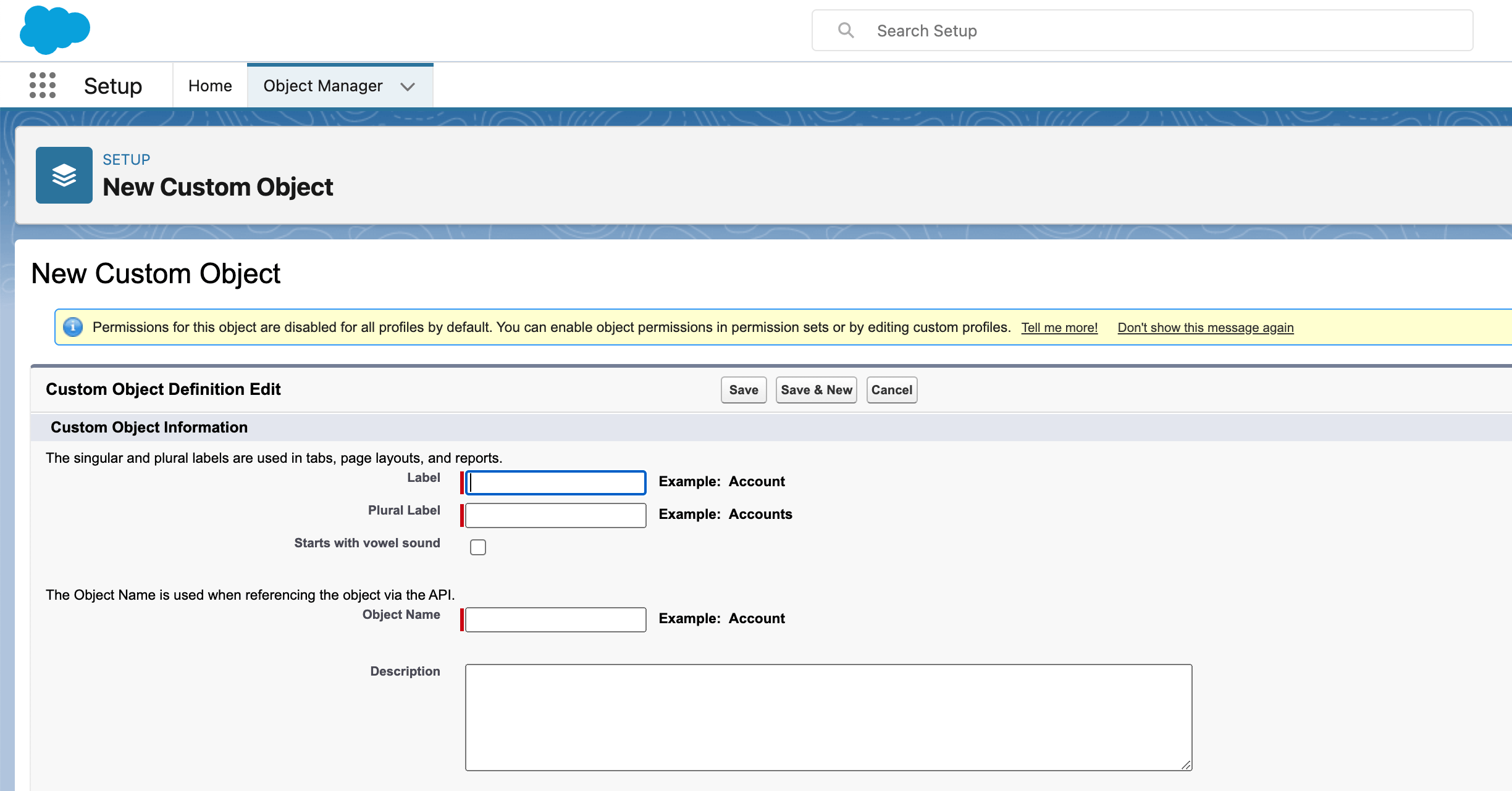 salesforce custom object