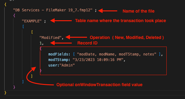 filemaker 2023 audit log breakdown