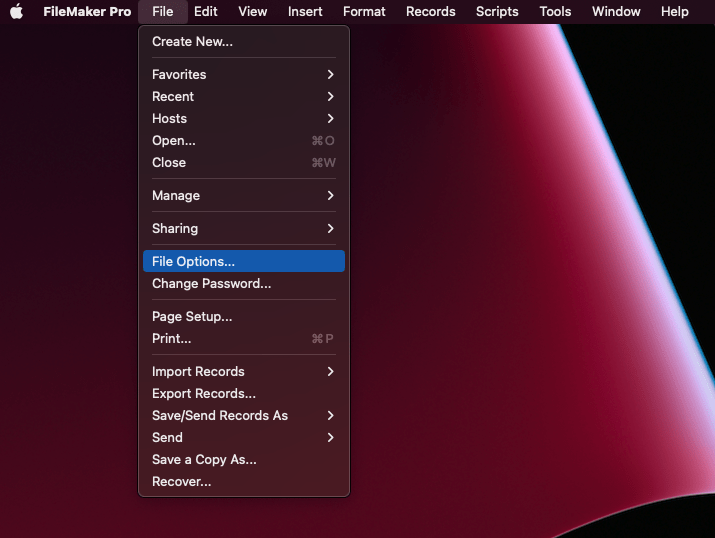 filemaker 2023 file options