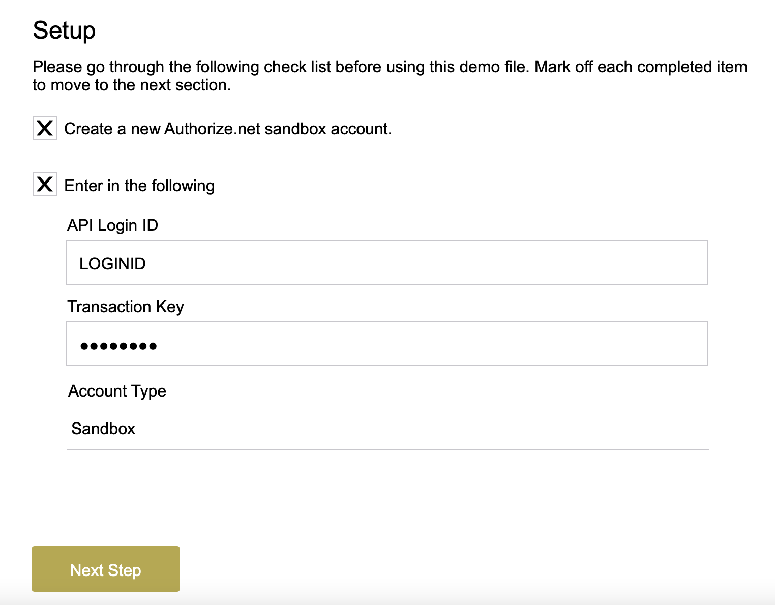 The setup page for the sample file. There are checkboxes for following along with the steps in the file and article. Under one section, you input your API Login ID, Transaction Key, and choose the account type.