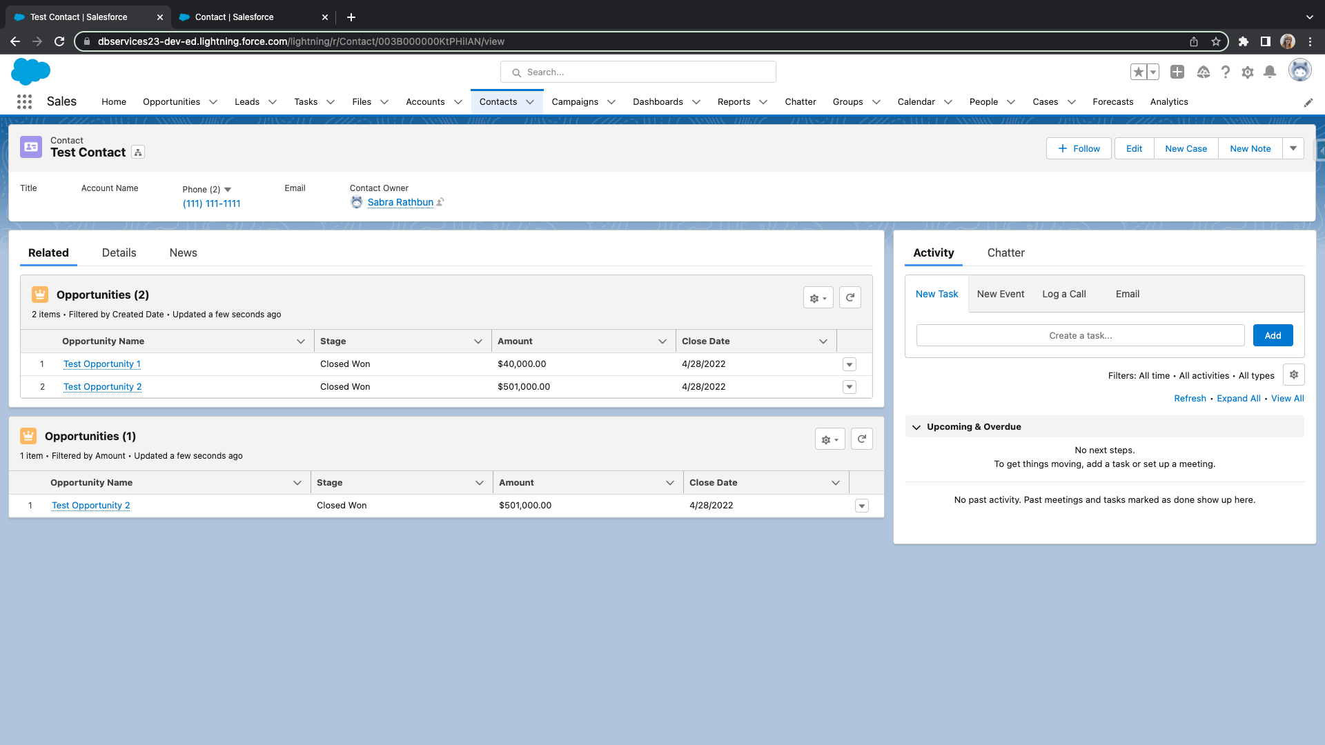 results for two dynamic related lists singles salesforce summer 22