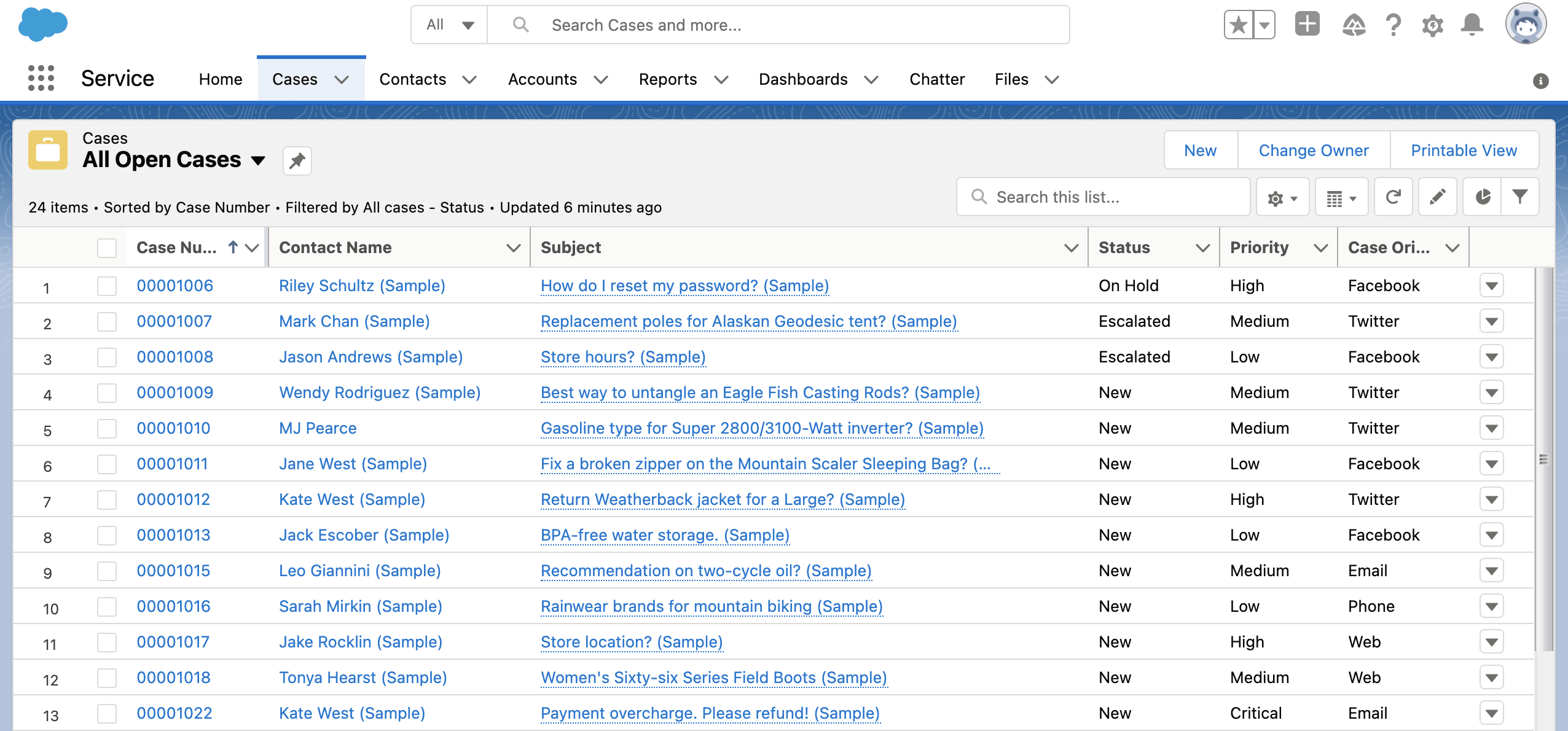 Salesforce Case List View