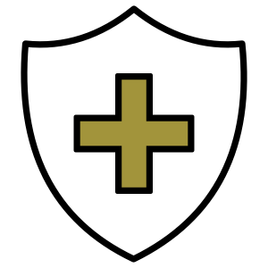 Insurance Icon