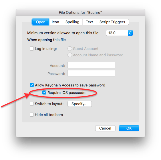 FileMaker Pro 15 File Options